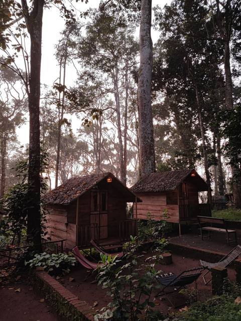 Corbett Wild Resort