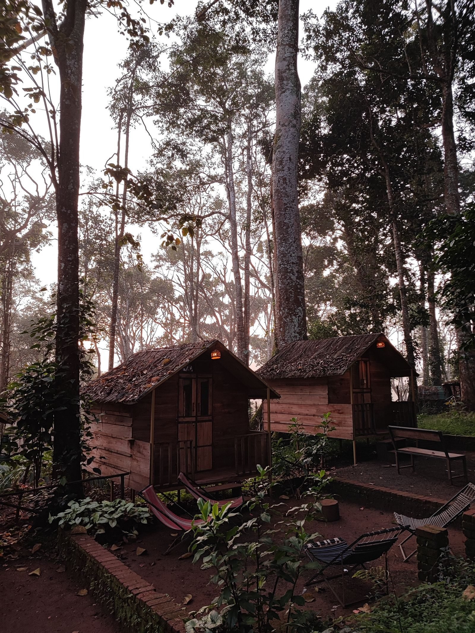 Corbett Wild Resort