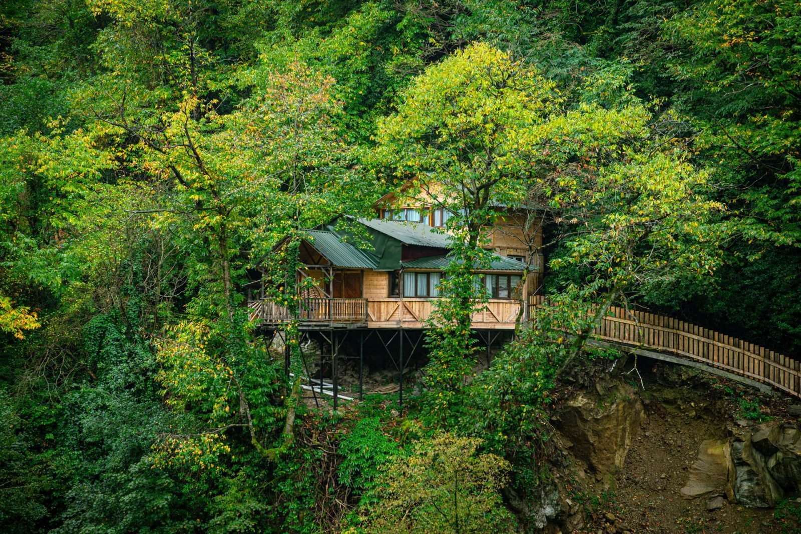 The Machan Treehouse Resort